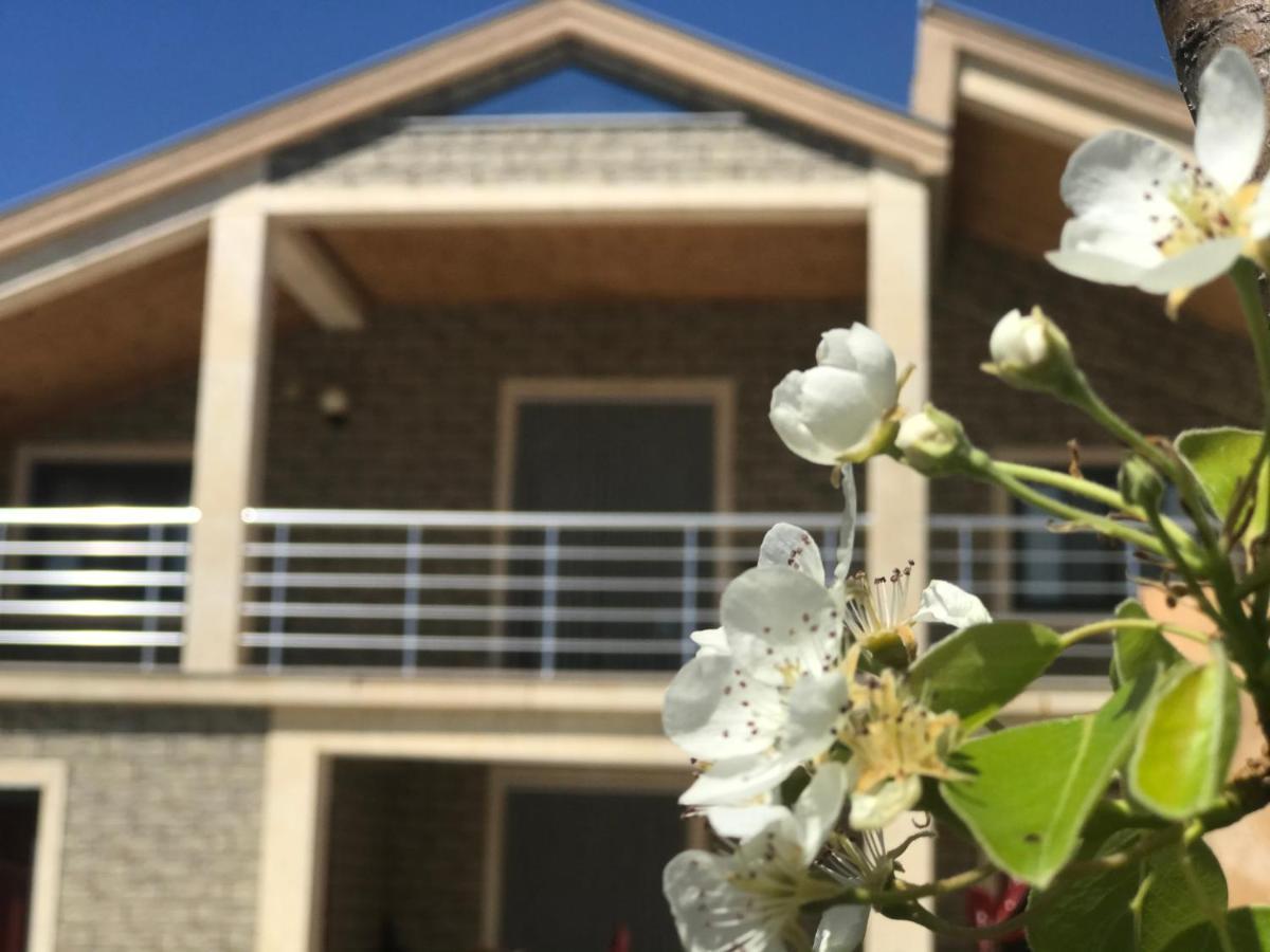 Villa Garden Shkodra Dış mekan fotoğraf