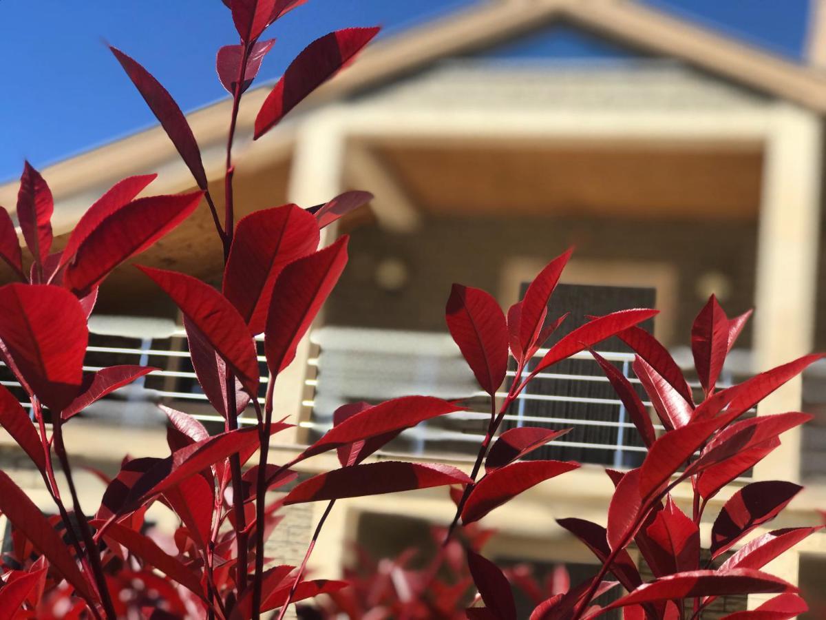 Villa Garden Shkodra Dış mekan fotoğraf