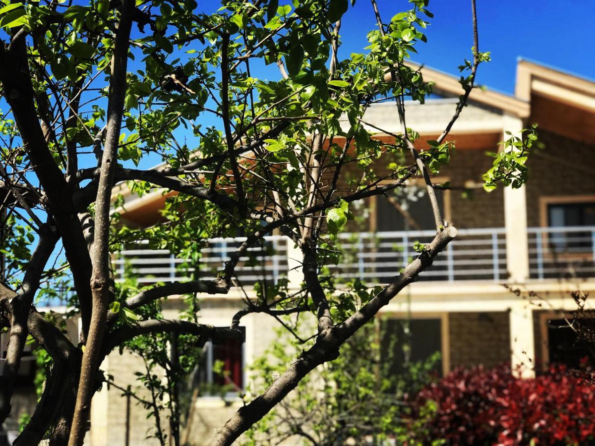 Villa Garden Shkodra Dış mekan fotoğraf